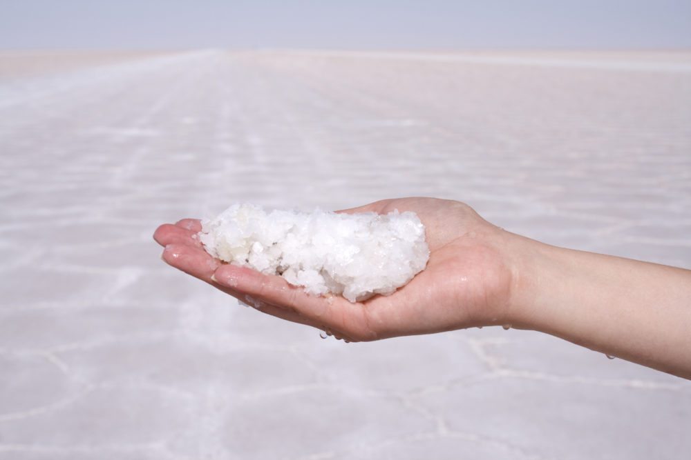 The Importance of Salt and the Dangers of Sodium Saltwell